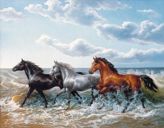 Des Chevaux